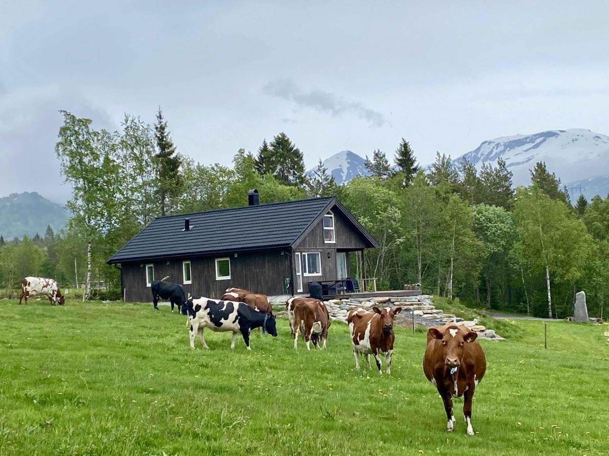 Heinali Hytta Villa Isfjorden Luaran gambar